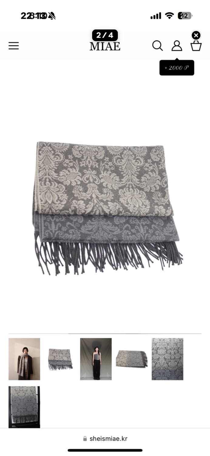 미애 오리엔탈 페이즐리 머플러 그레이 상품이미지2