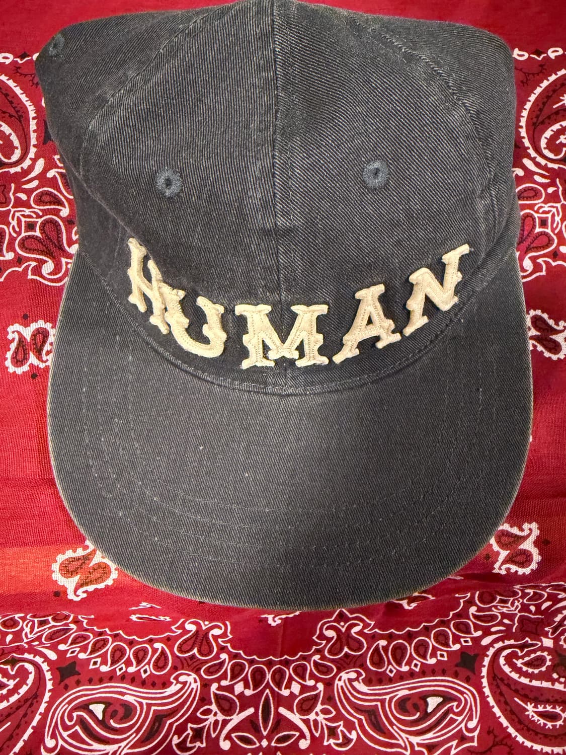 [남녀공용free]폴리테루 휴먼인덱스 볼캡 네이비 상품이미지2