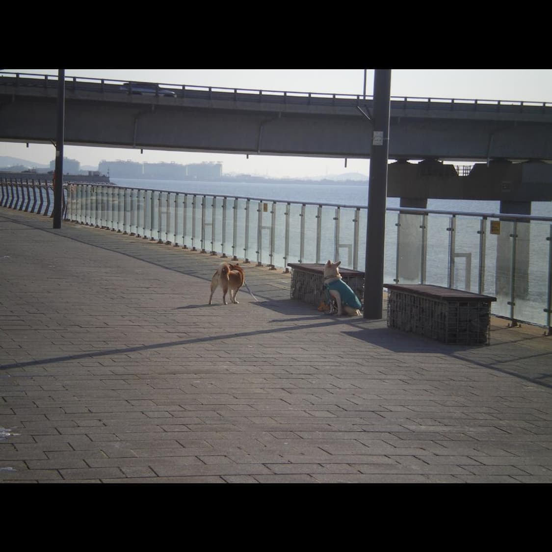 작례⭕️ 펜탁스 옵티오 M30 + 박스 레드버건디🍷 상품이미지7