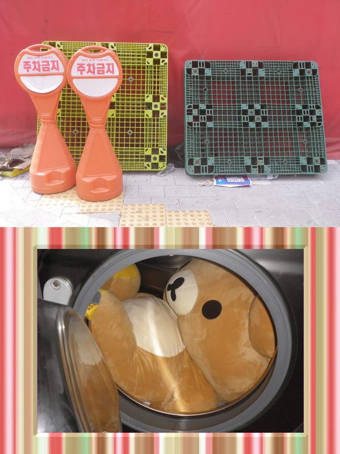🦄펜탁스 옵티오 WS80 화이트🦄 빈티지 디카〰️주인장 최애 디카 상품이미지6