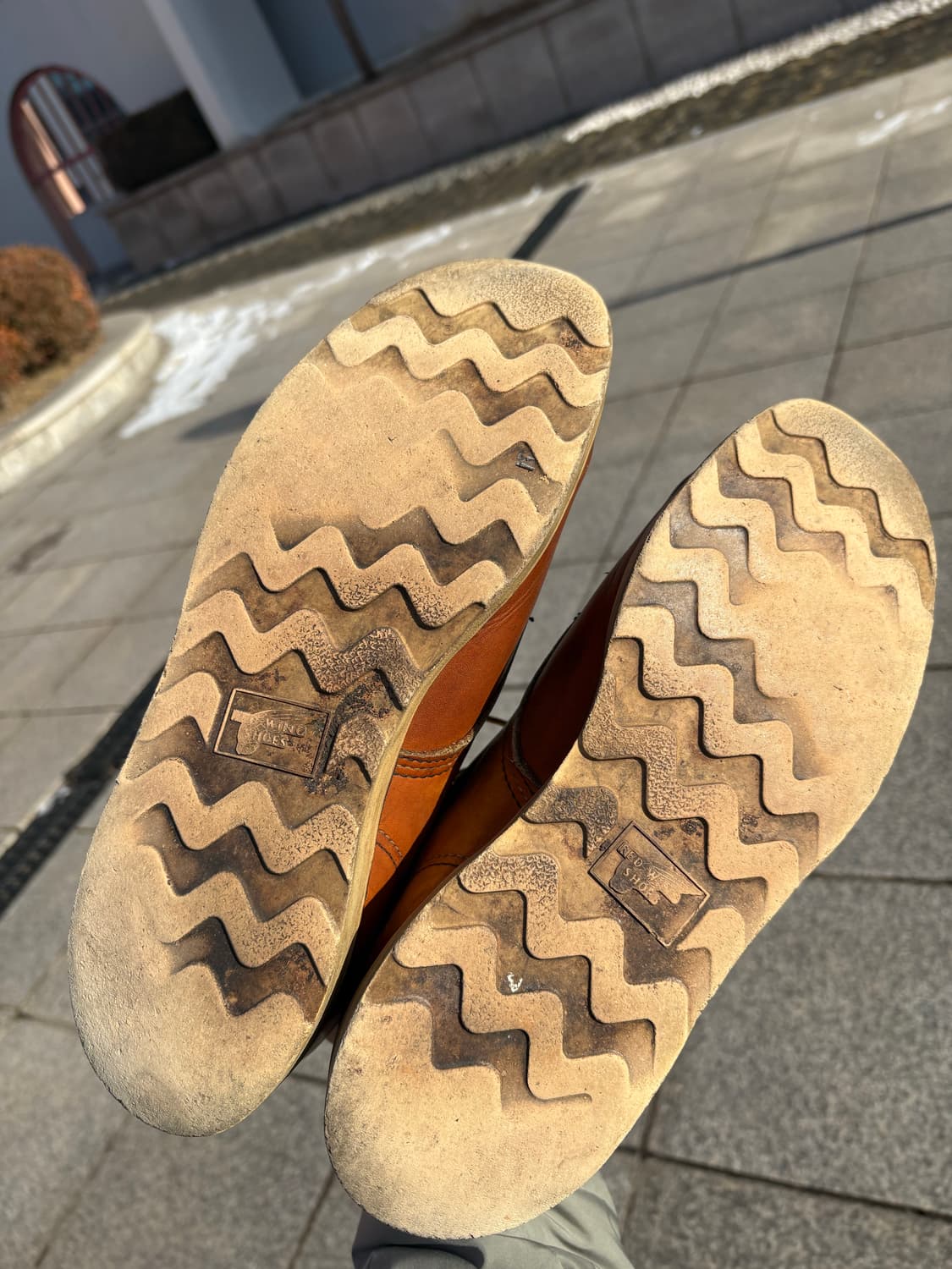 레드윙 875 목토 상품이미지7