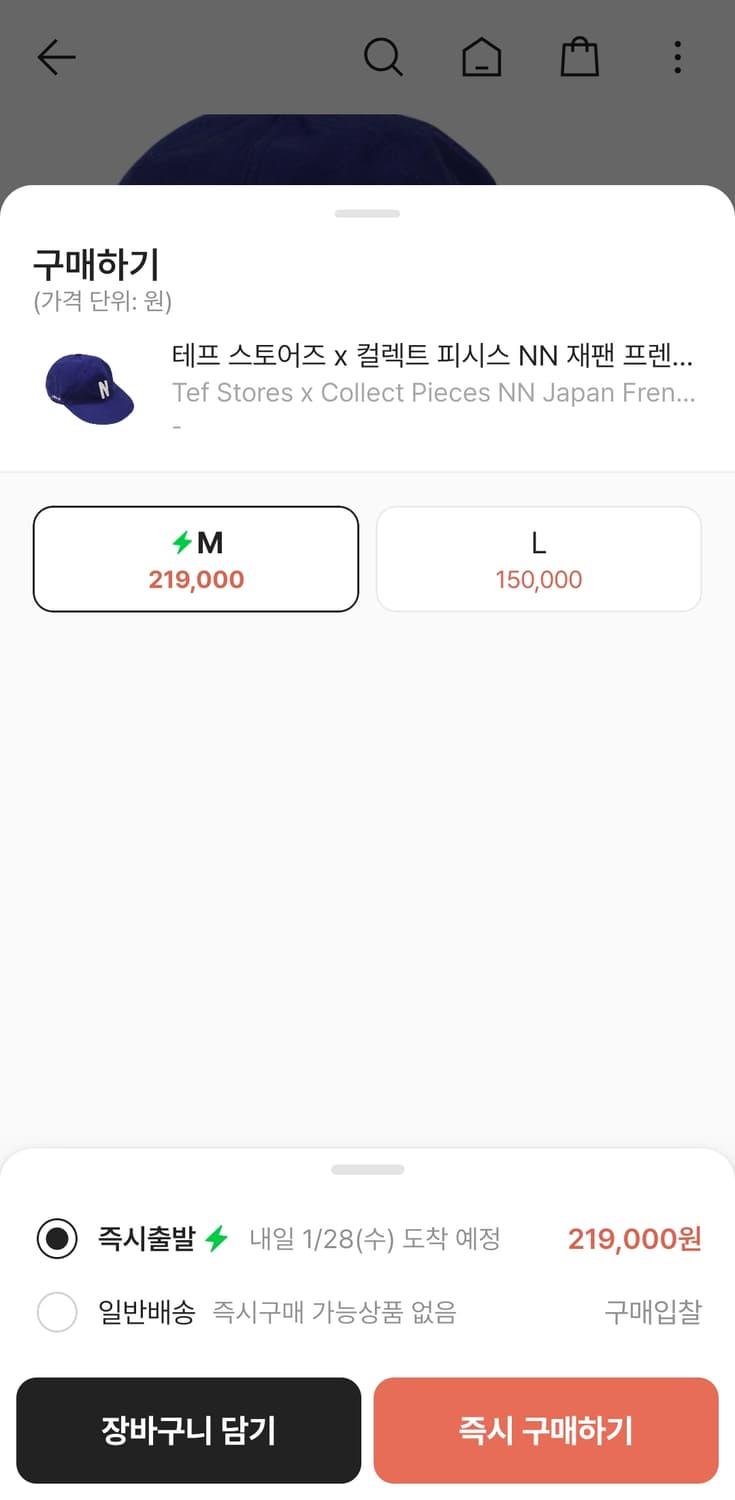 테프스토어즈 x 컬렉트피시스의 N 프렌치블루 볼캡 상품이미지4