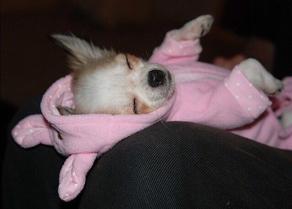 판매 완료 상품이미지1