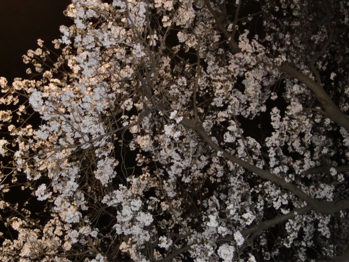 입문&강추!) Casio Exilim EX-Z700 디카 카메라 상품이미지6