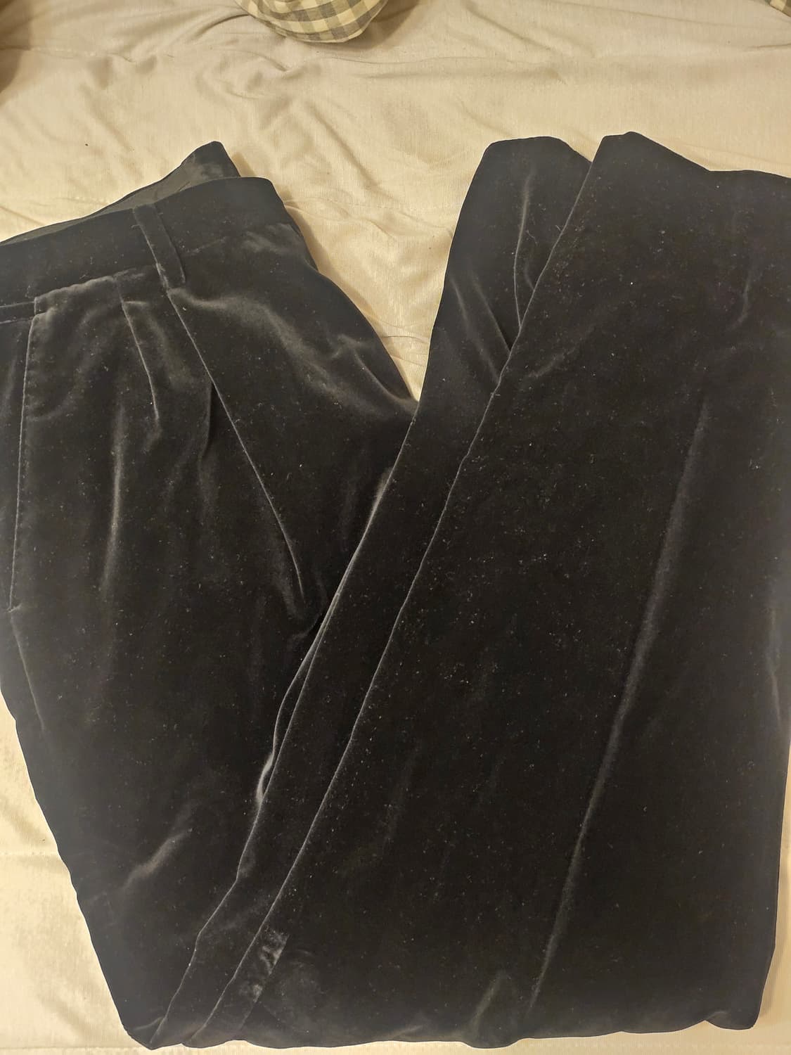 돌체엔가바나 벨벳 팬츠 국내 매장판 상품이미지1