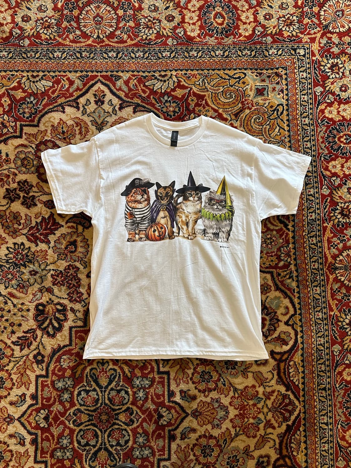 할로윈 고양이 4총사 그래픽 티셔츠 - L 상품이미지2