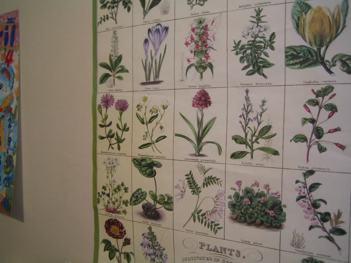 캐논 canon ixy digital 상품이미지4