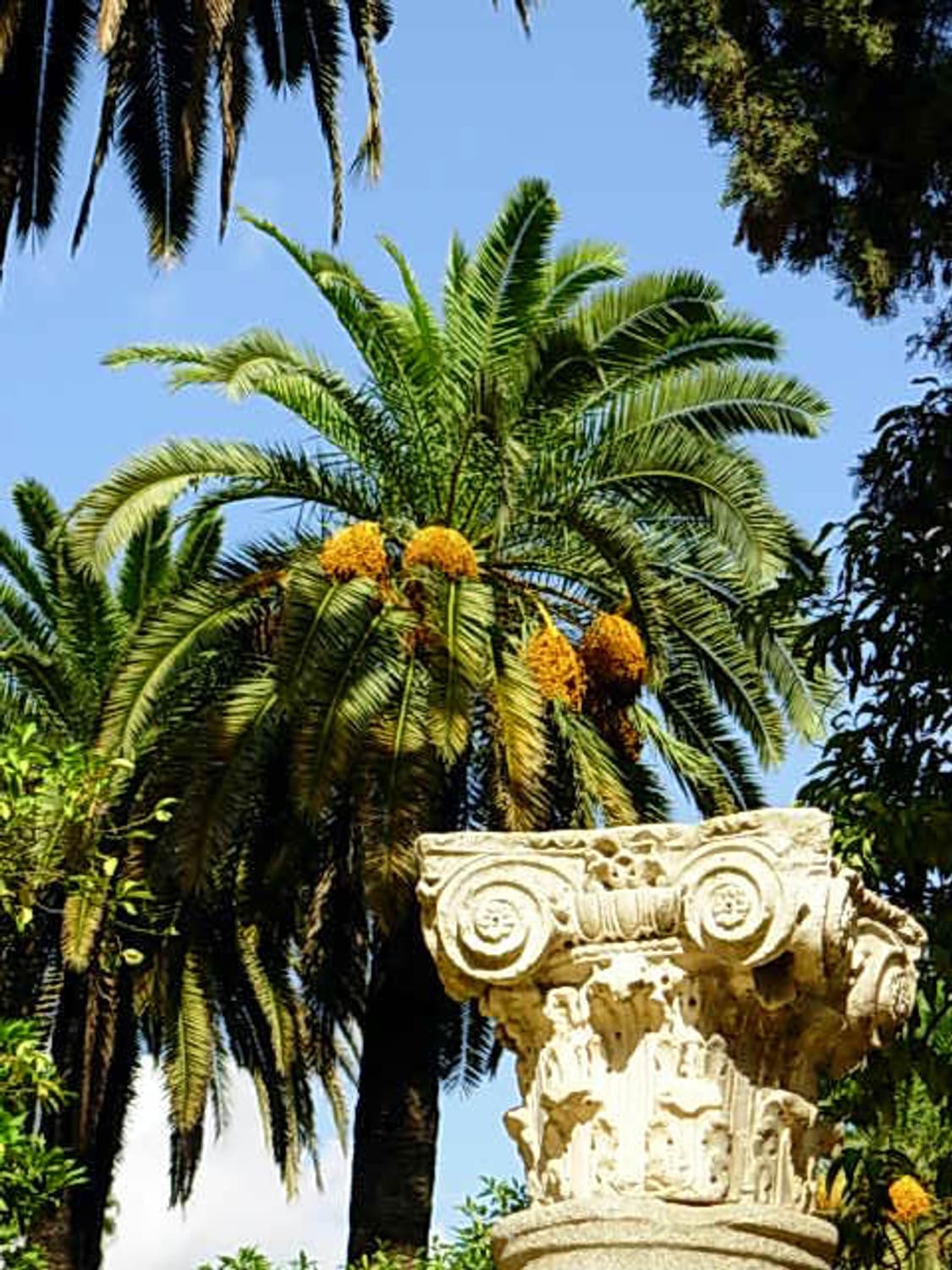 Casio Exilim EX-H5 (카시오 엑슬림 EX-H5) 상품이미지8