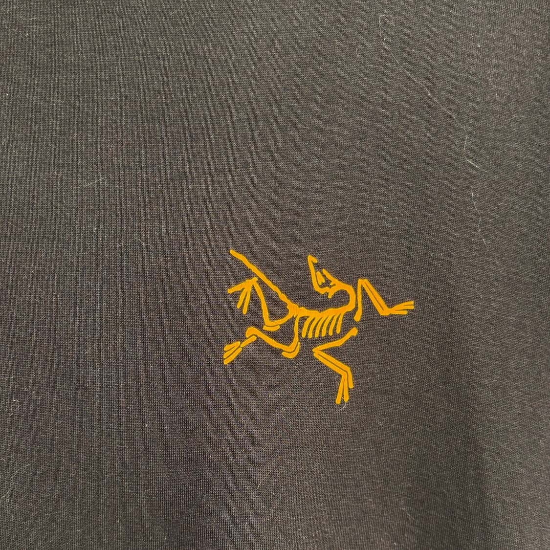 아크테릭스 아크멀티 버그 로고 롱슬리브 L 상품이미지3