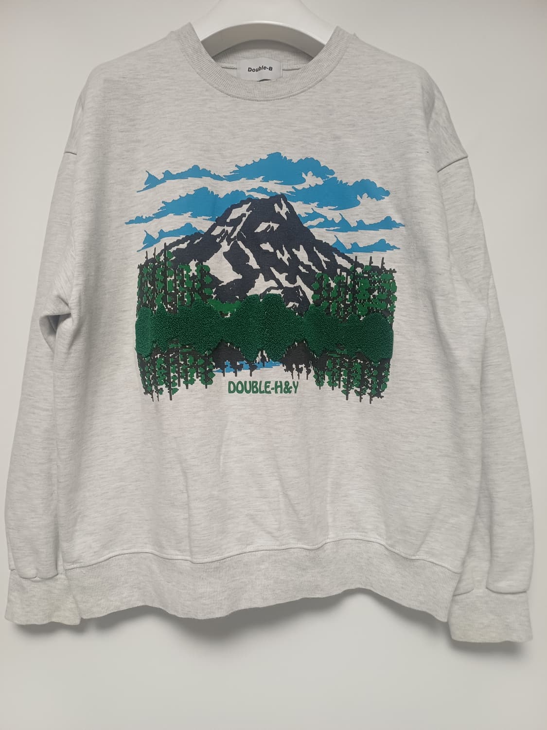 입체 자수 포인트 마운틴 그래픽 맨투맨 (오버핏/세미크롭) / 공용 상품이미지1