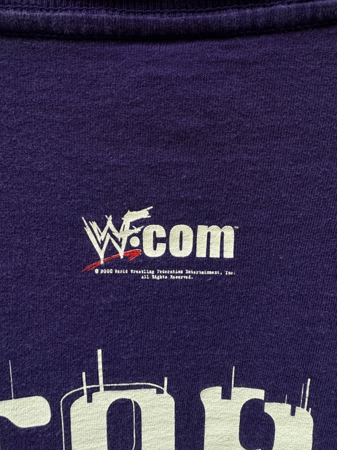 2000 WWE WWF Hardy Boyz 반팔 티셔츠  상품이미지5