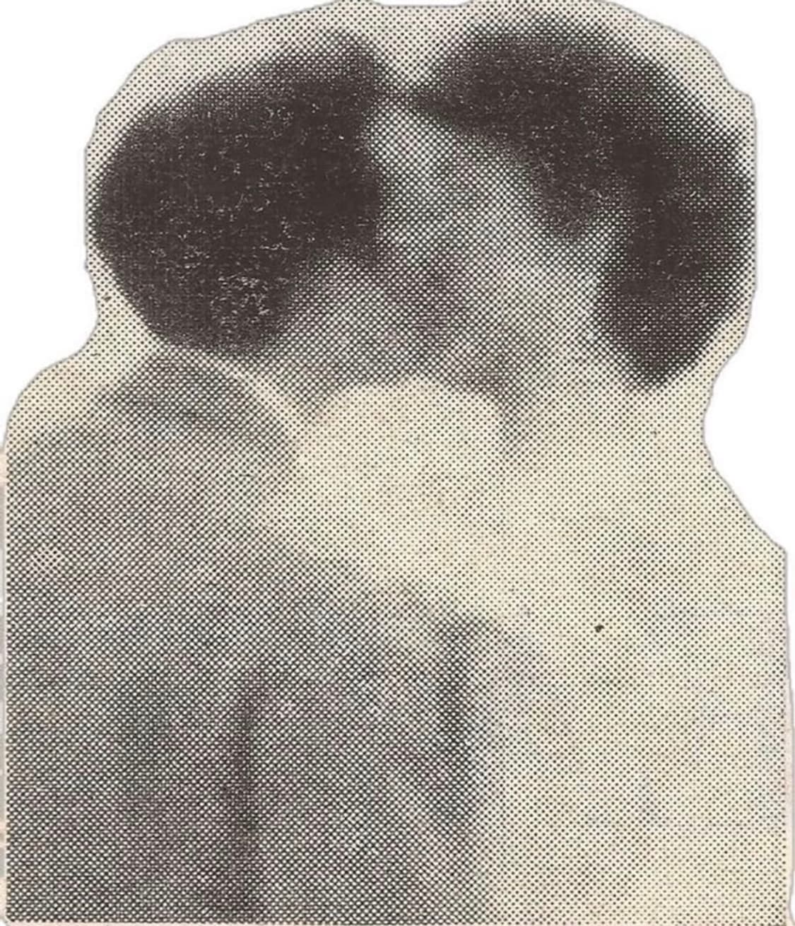 deku님 결제창 상품이미지1