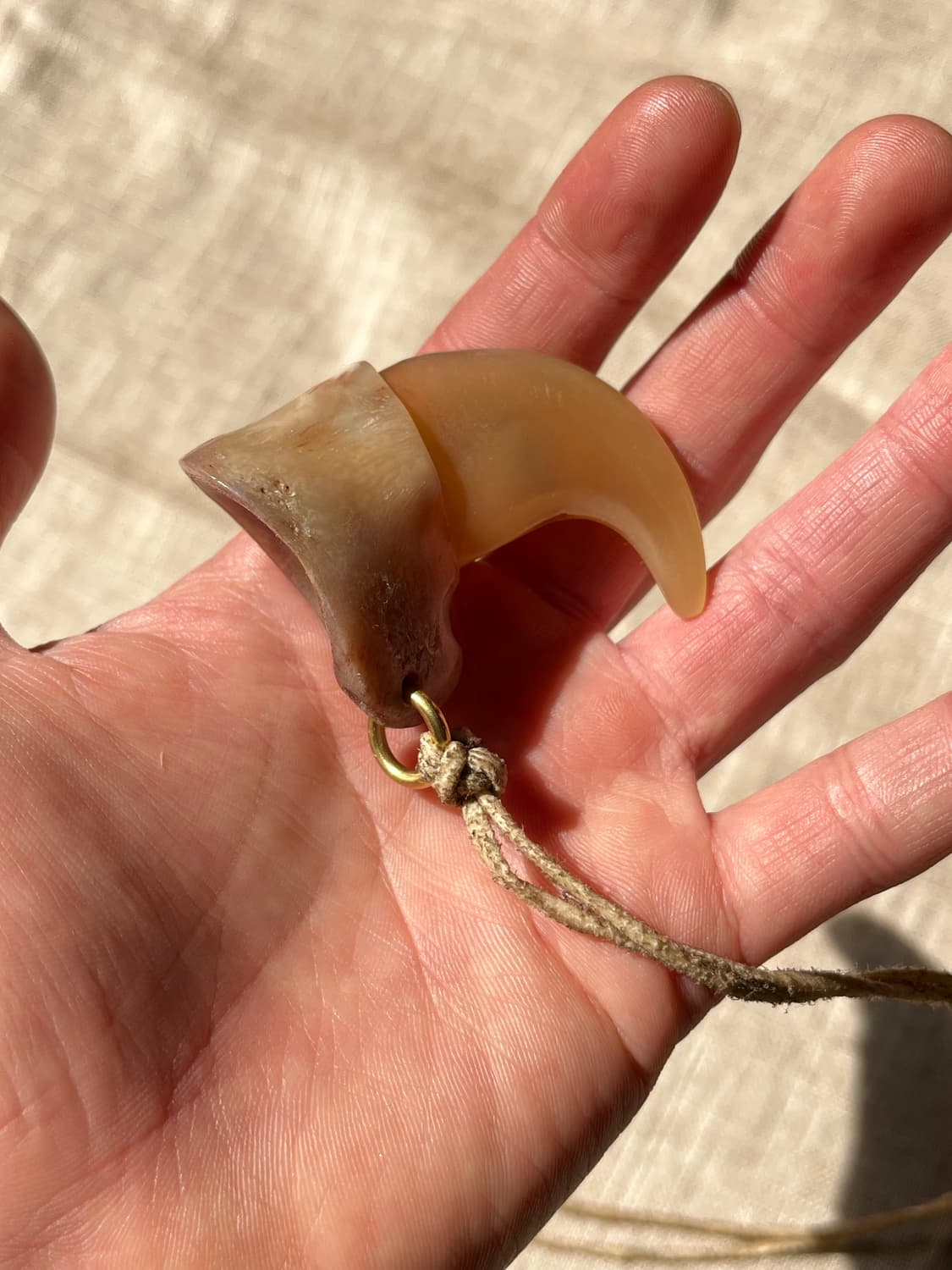 Tiger Claw Necklace 상품이미지1