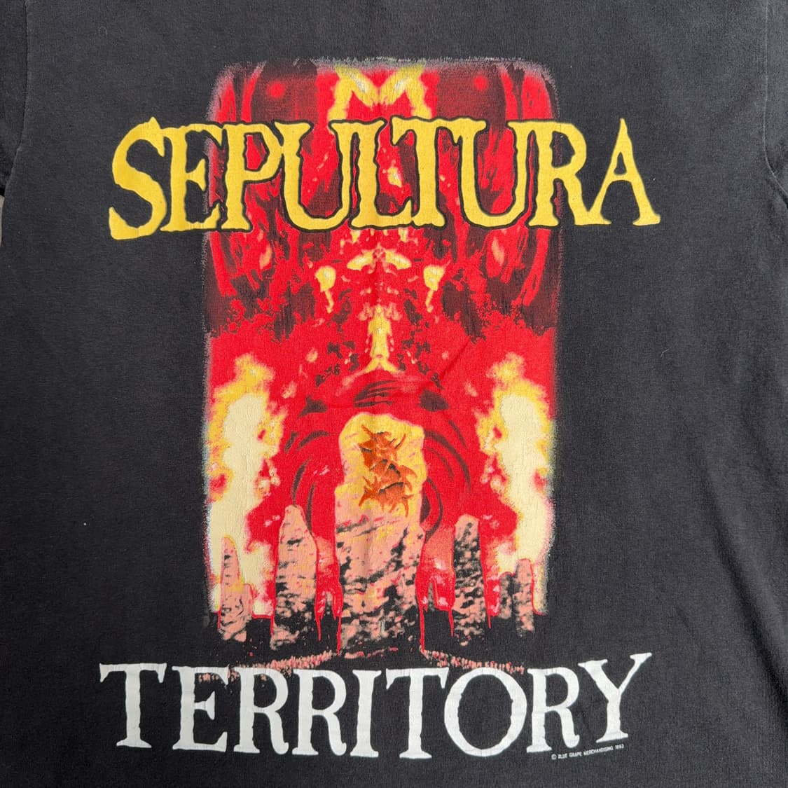 1993 Sepultura Territory T-Shirt 상품이미지2