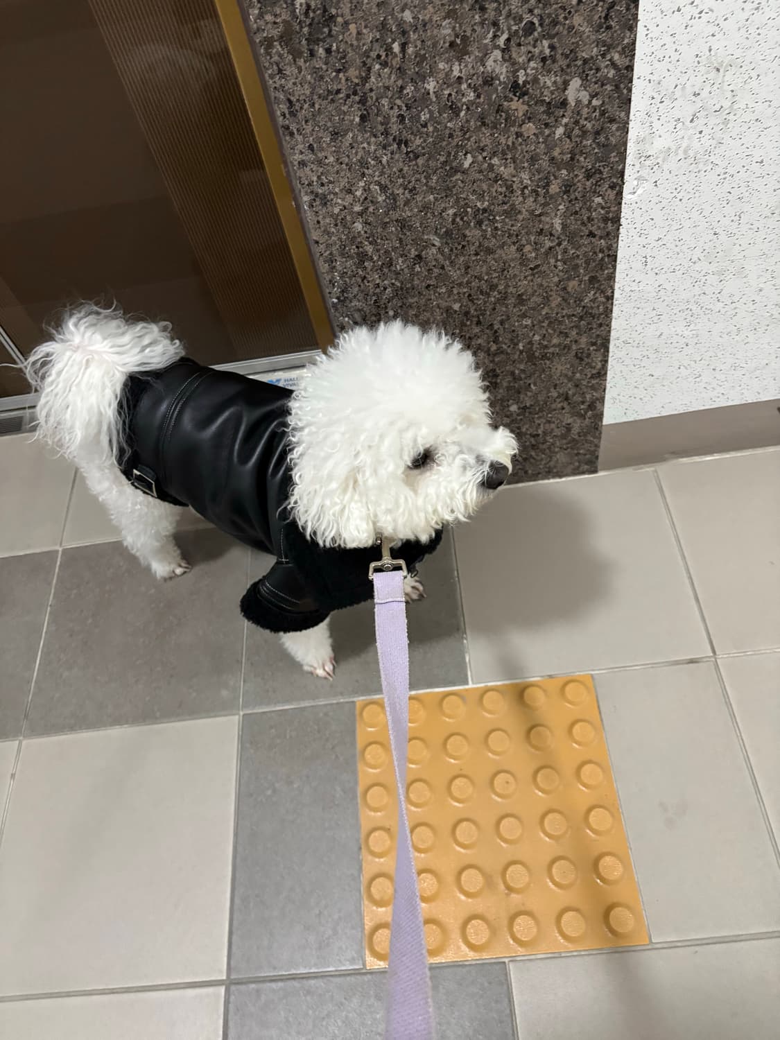 캐논 디카 익시220f (익서스 125hs와 동일모델) 상품이미지5