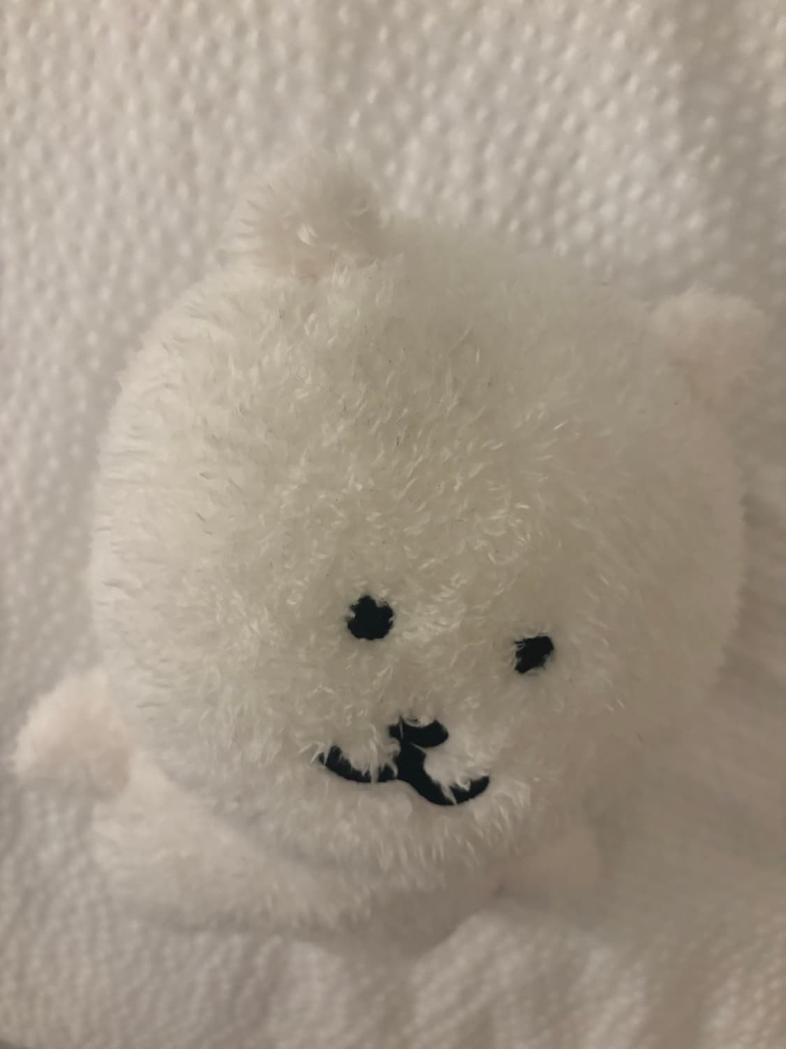 나가노마켓 보슬보슬 농담곰 상품이미지2