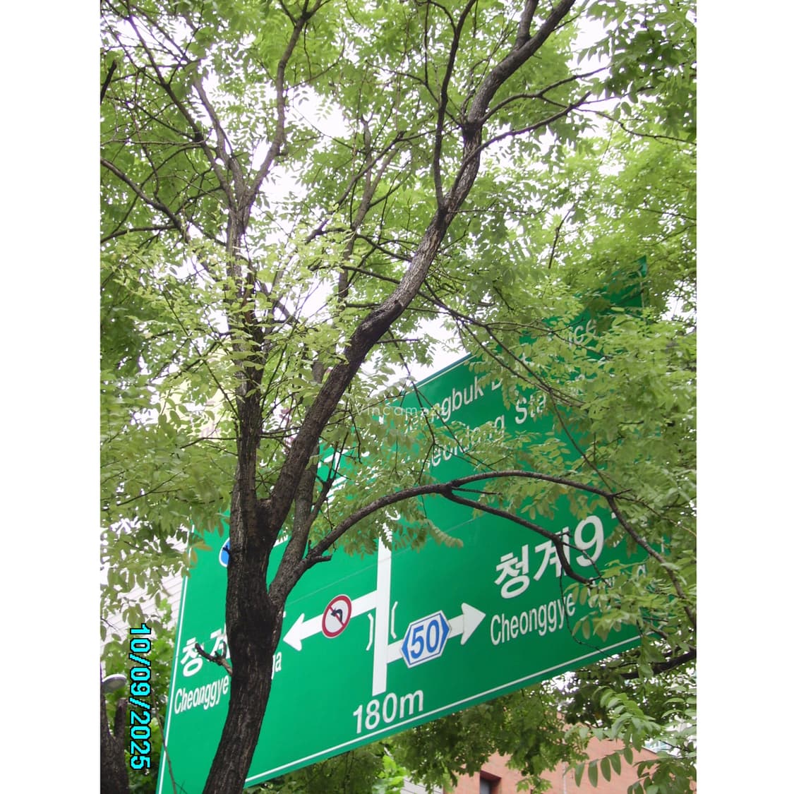 [풀박스] Minolta 미놀타 디마지 DiMAGE E500 상품이미지9
