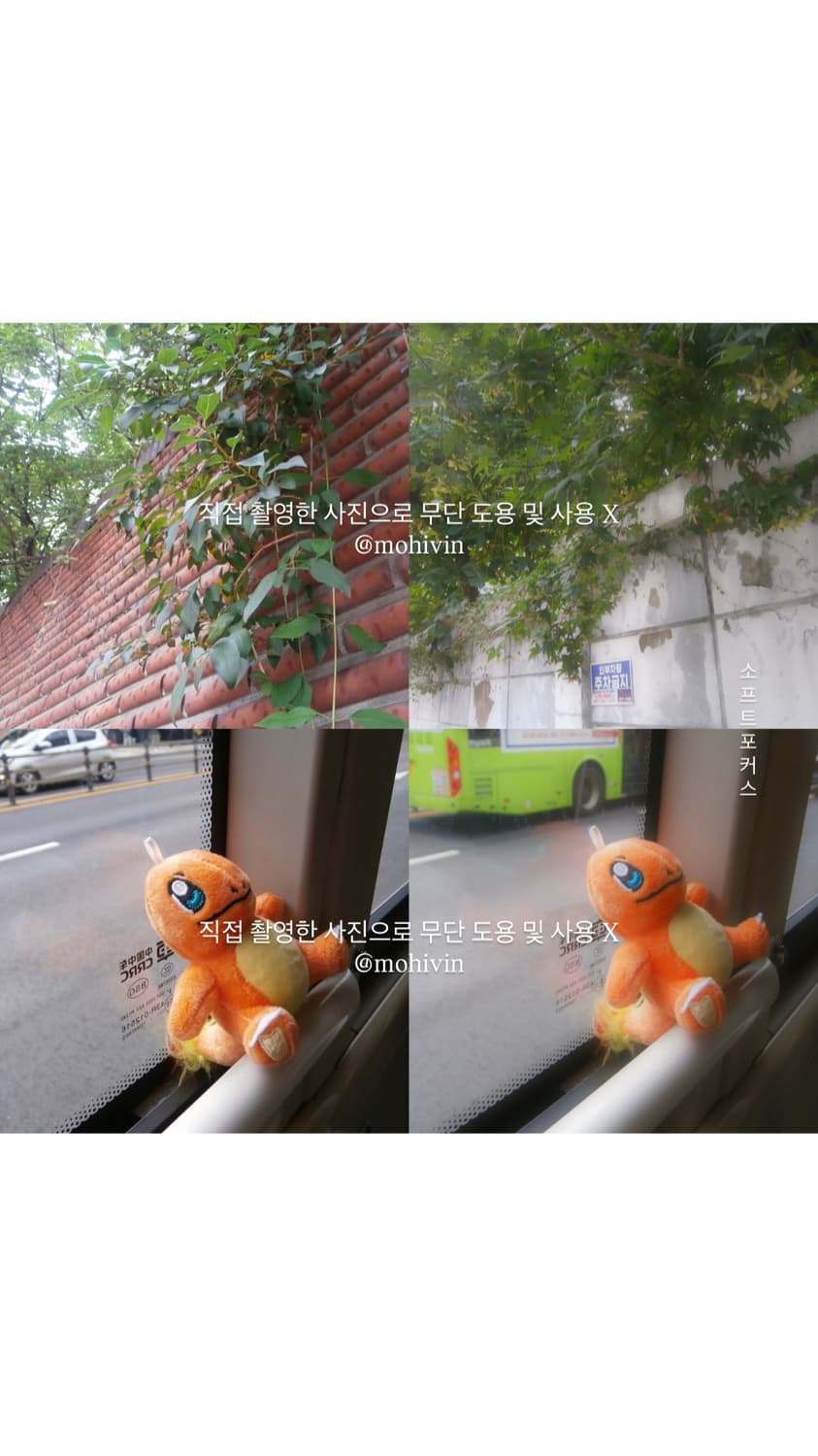 (소프트 포커스 / 작례) 올림푸스 olympus vh-210 디카 상품이미지8
