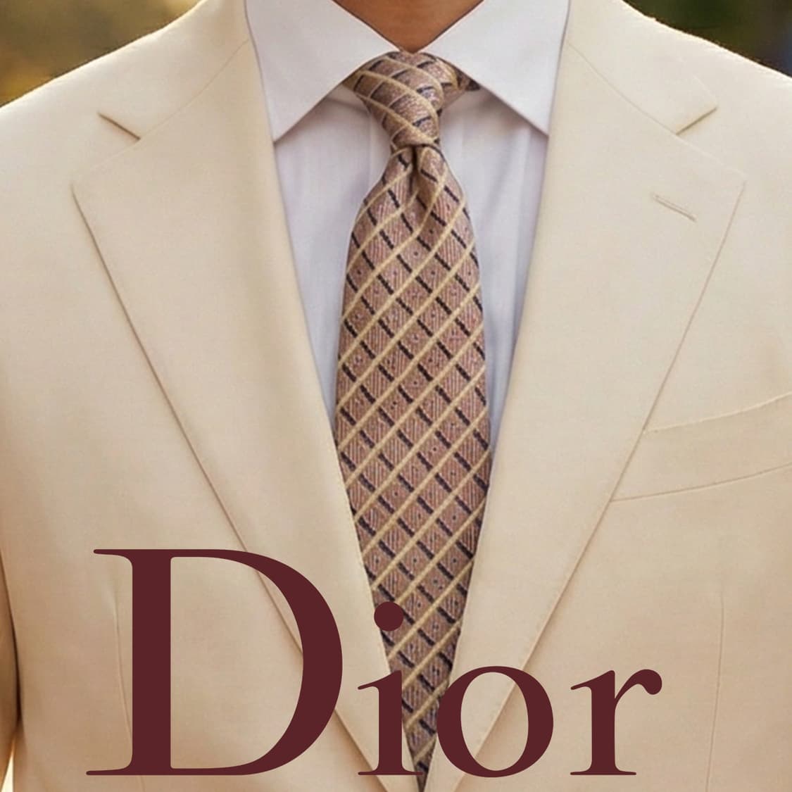 크리스찬 디올 넥타이 체크 스트라이프 패턴 9.3cm A등급 A19856 상품이미지1