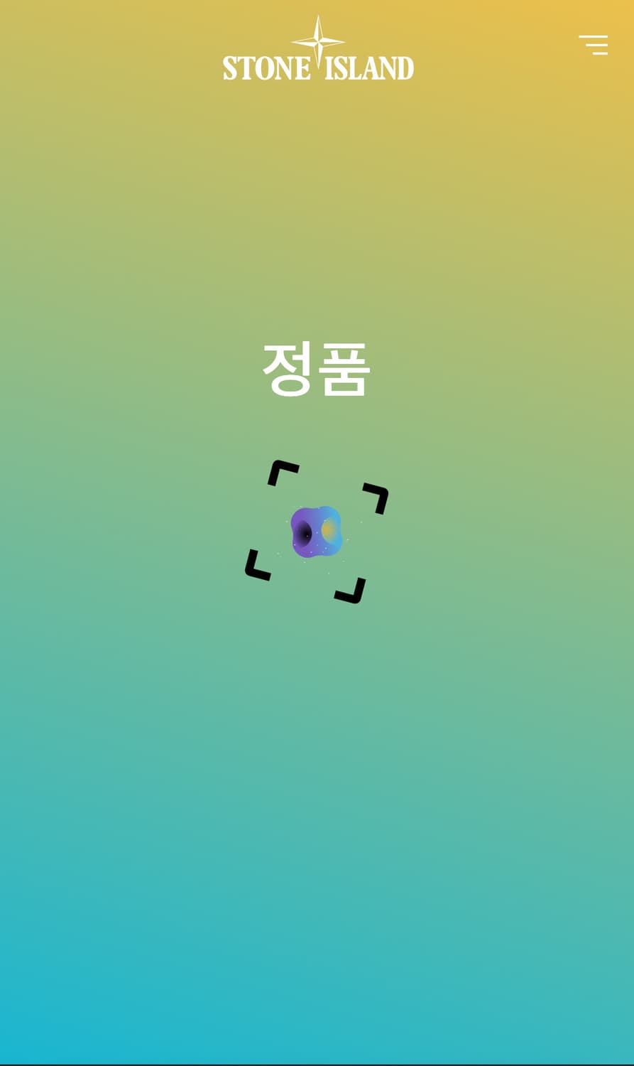 스톤아일랜드 카고팬츠 [30] 상품이미지5