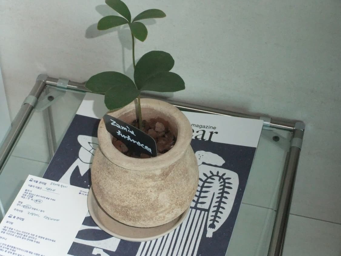 후지필름 파인픽스 F70EXR 상품이미지6