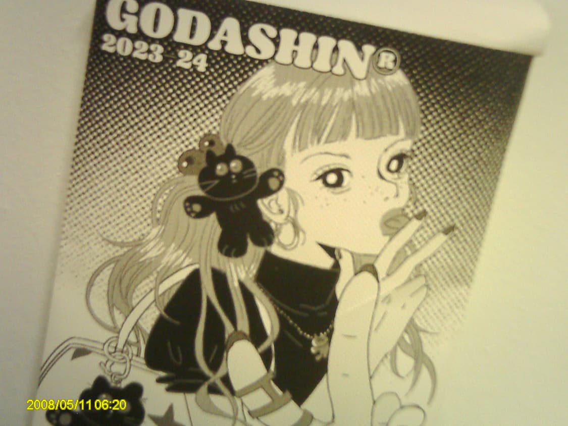 빈티지디카 📸 비비타 비비캠 Vivitar vivicam 8690 상품이미지9