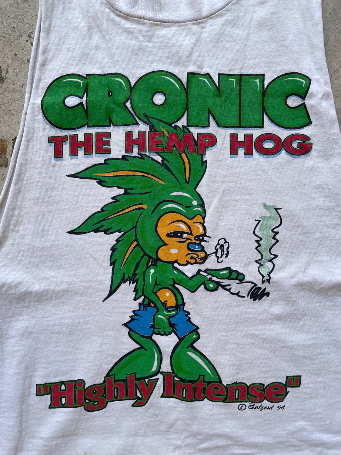 90s Chronic Sonic Parody Distressed 상품이미지1