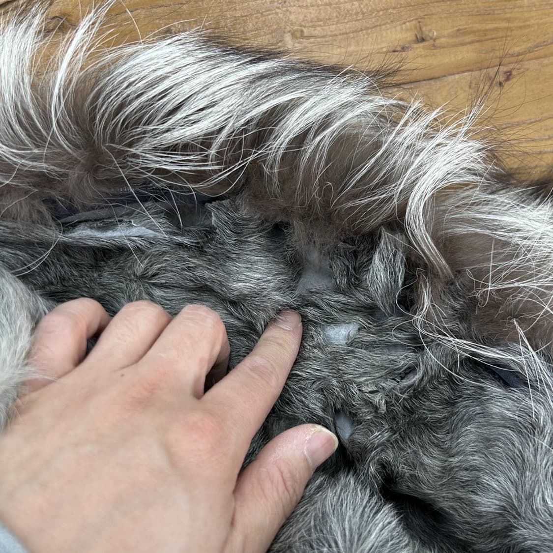 16002 - 막스마라 후드 퍼 다운 자켓 상품이미지5