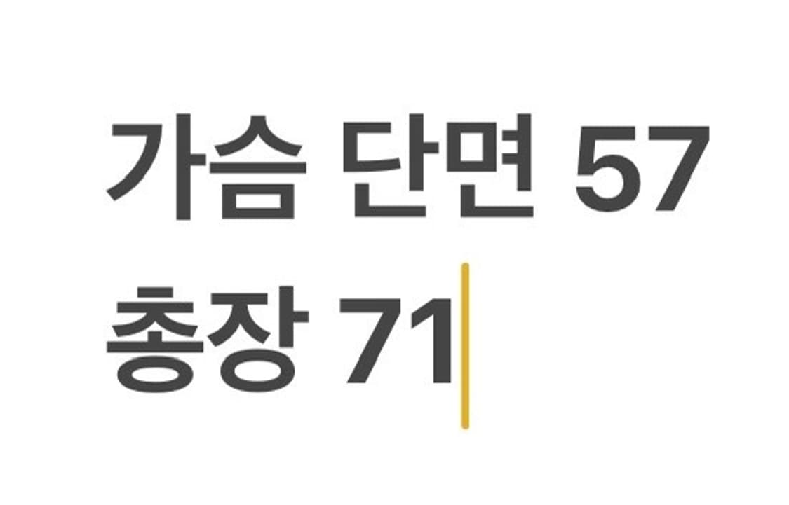 [정품/L] 나이키 대한민국 축구 국가대표 김남일 5번 져지 핑크 b16 상품이미지5