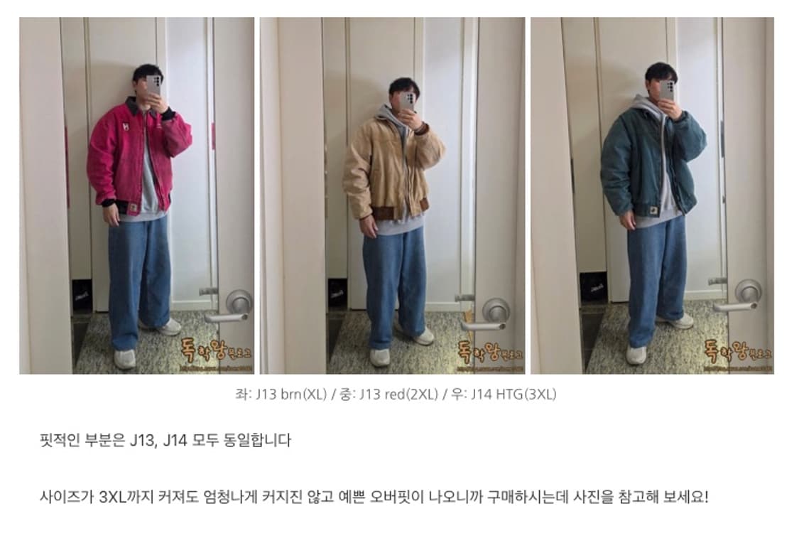 칼하트 산타페 J13 BRN 상품이미지4