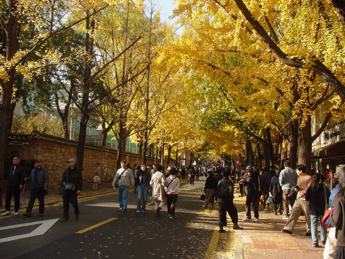 소니 샤이버샷 f-77 4.0 상품이미지4