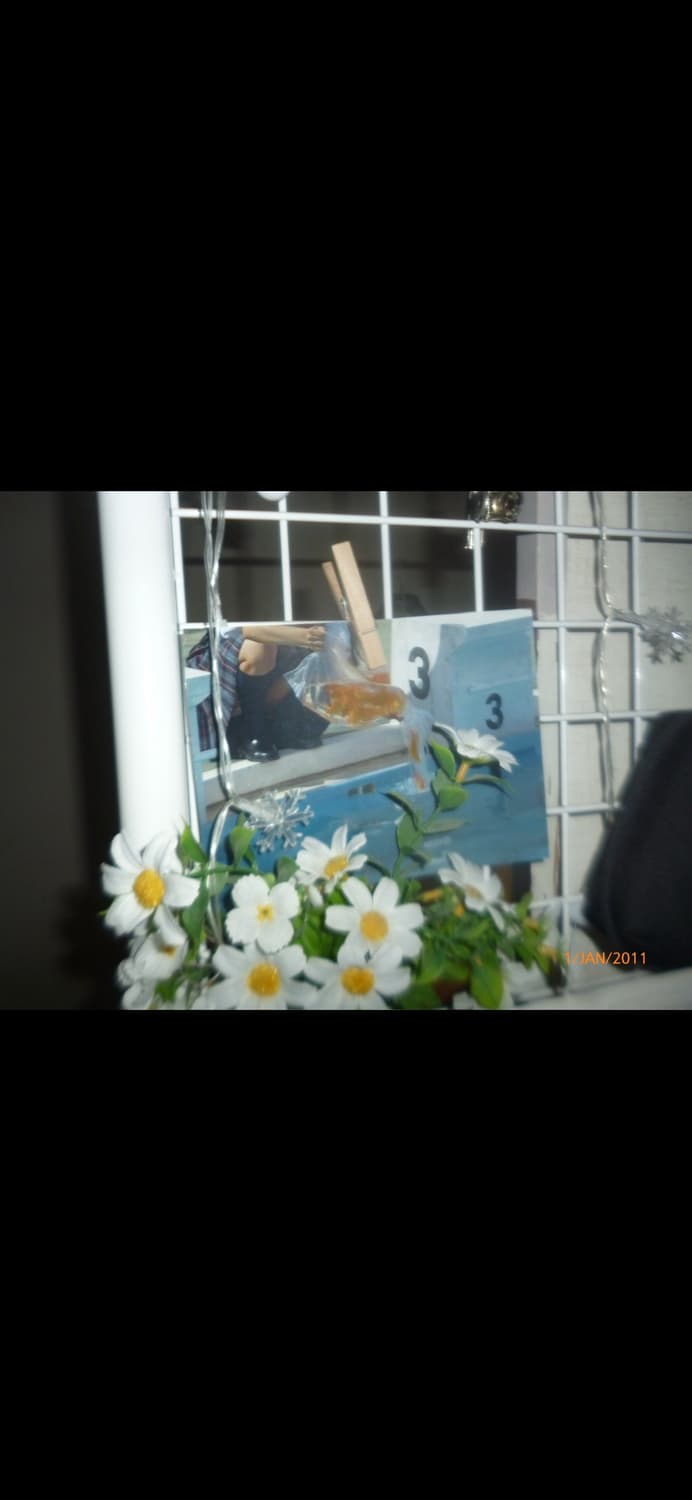 파나소닉 루믹스 DMC-S3 / 가볍게 쓰는 데일리 감성 디카 상품이미지2