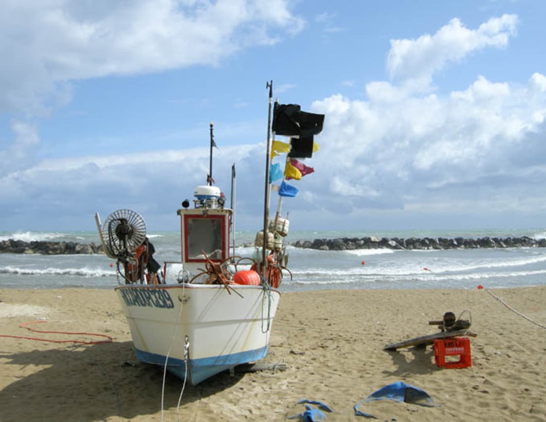 Casio Exilim EX-H5 (카시오 엑슬림 EX-H5) 상품이미지10