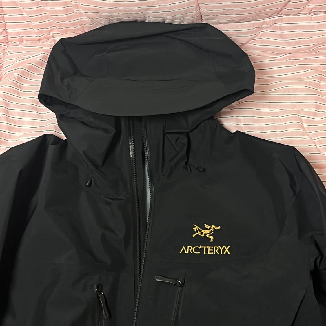 아크테릭스 알파 SV 자켓 블랙 M 상품이미지2