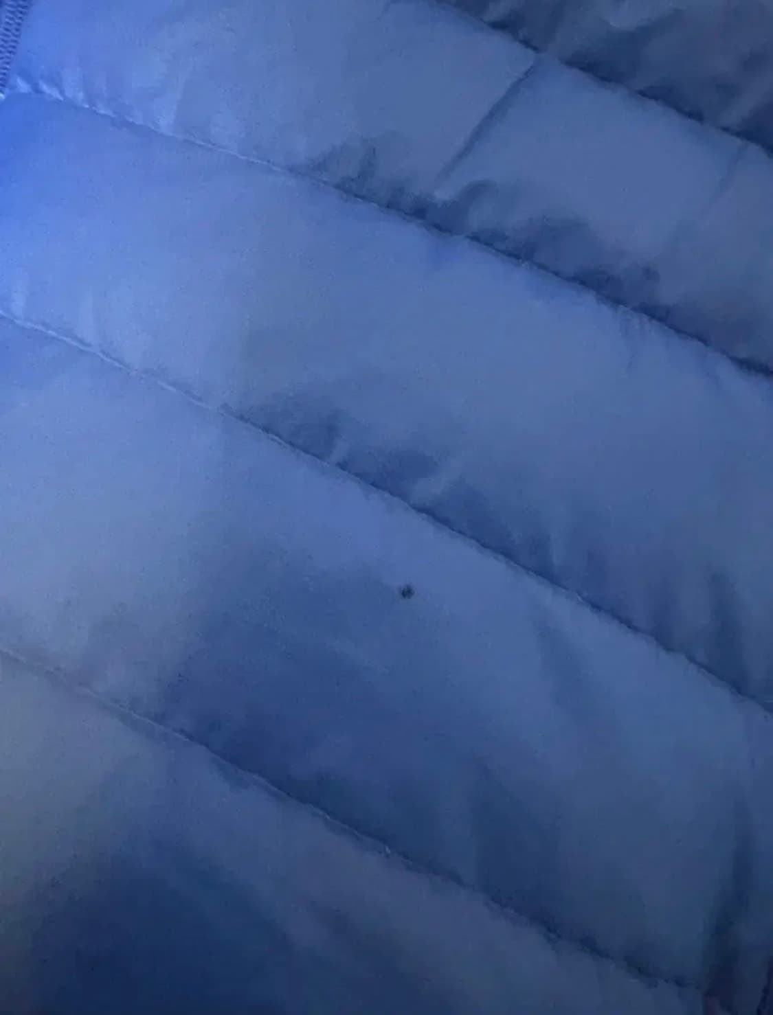 파타고아 경량패딩 L 상품이미지2