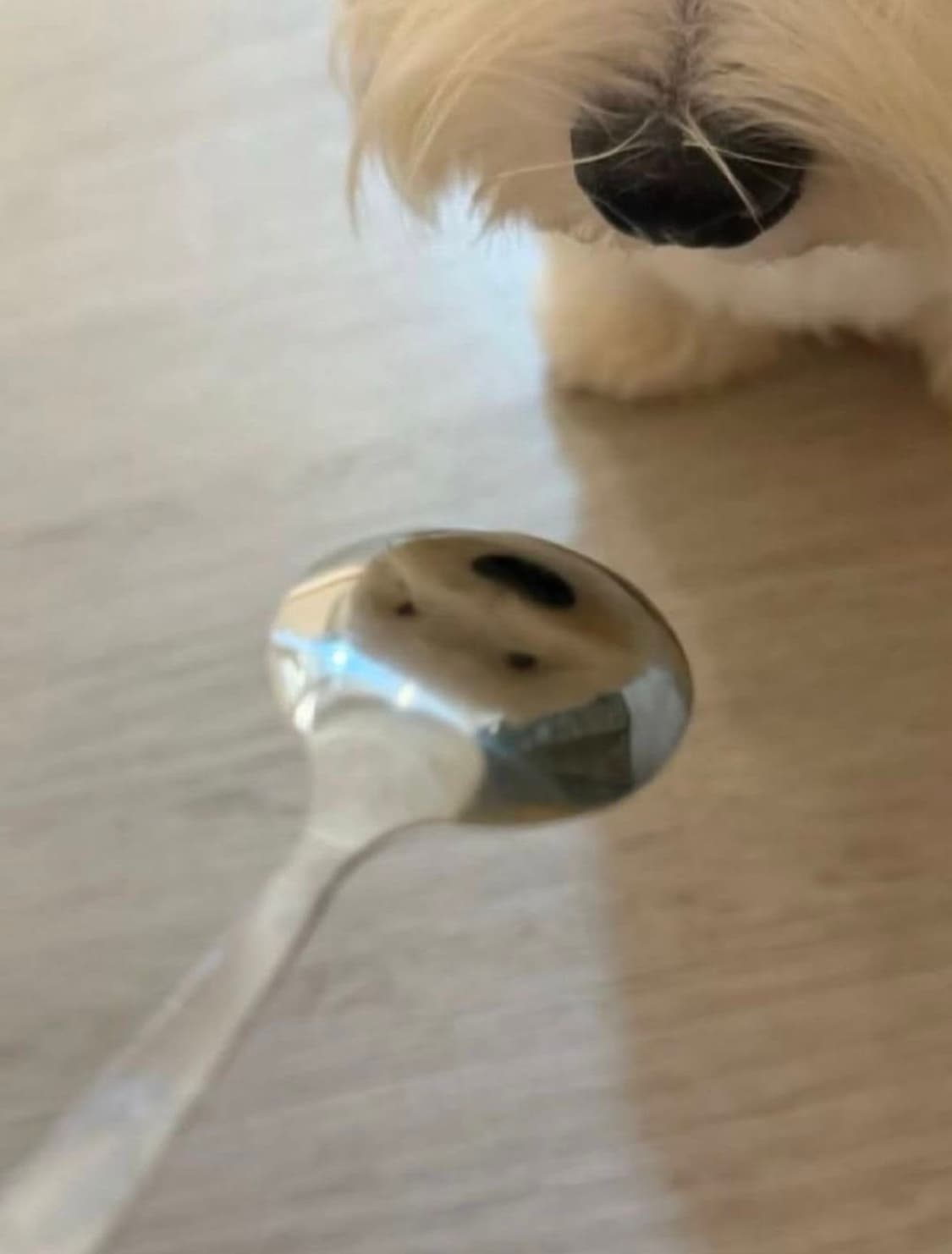 개인결제창 상품이미지1