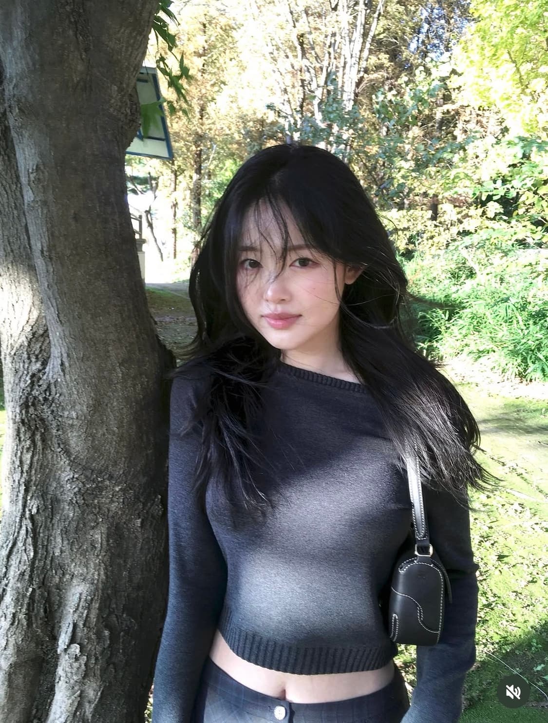 ZARA 자라 소프트 크롭 탑, 자라 크롭 니트, 자라 니트 상품이미지1