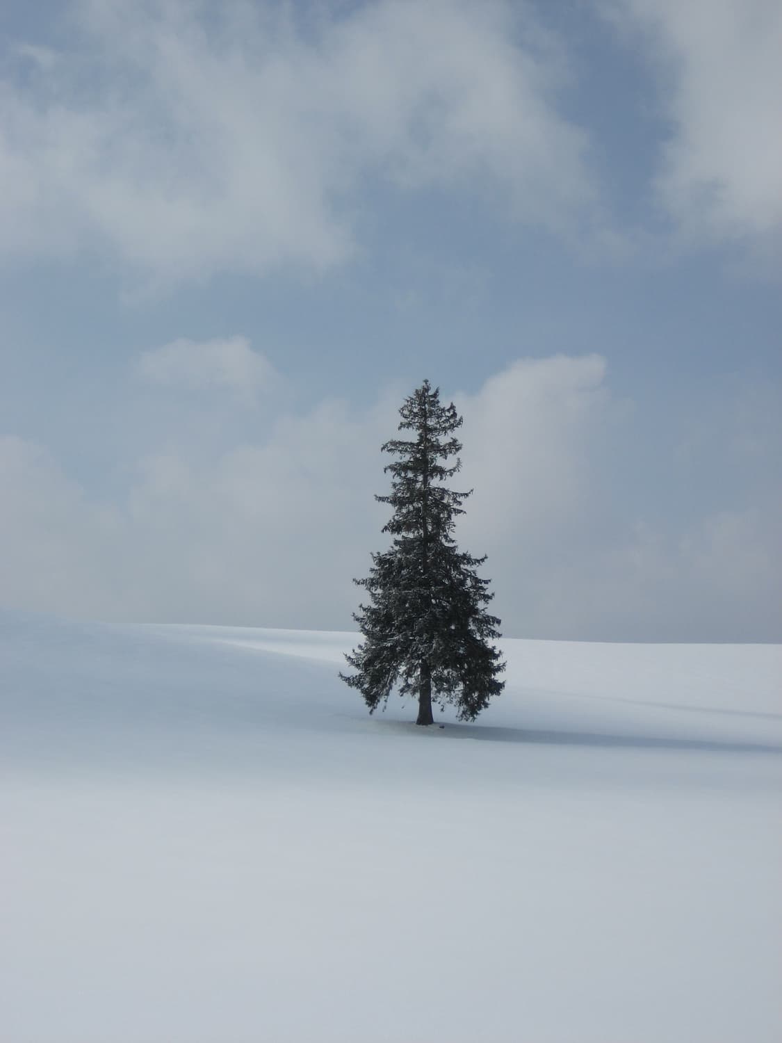 초희귀&강추!) Canon IXY 70 ( IXUS 60 ) 디카  상품이미지3