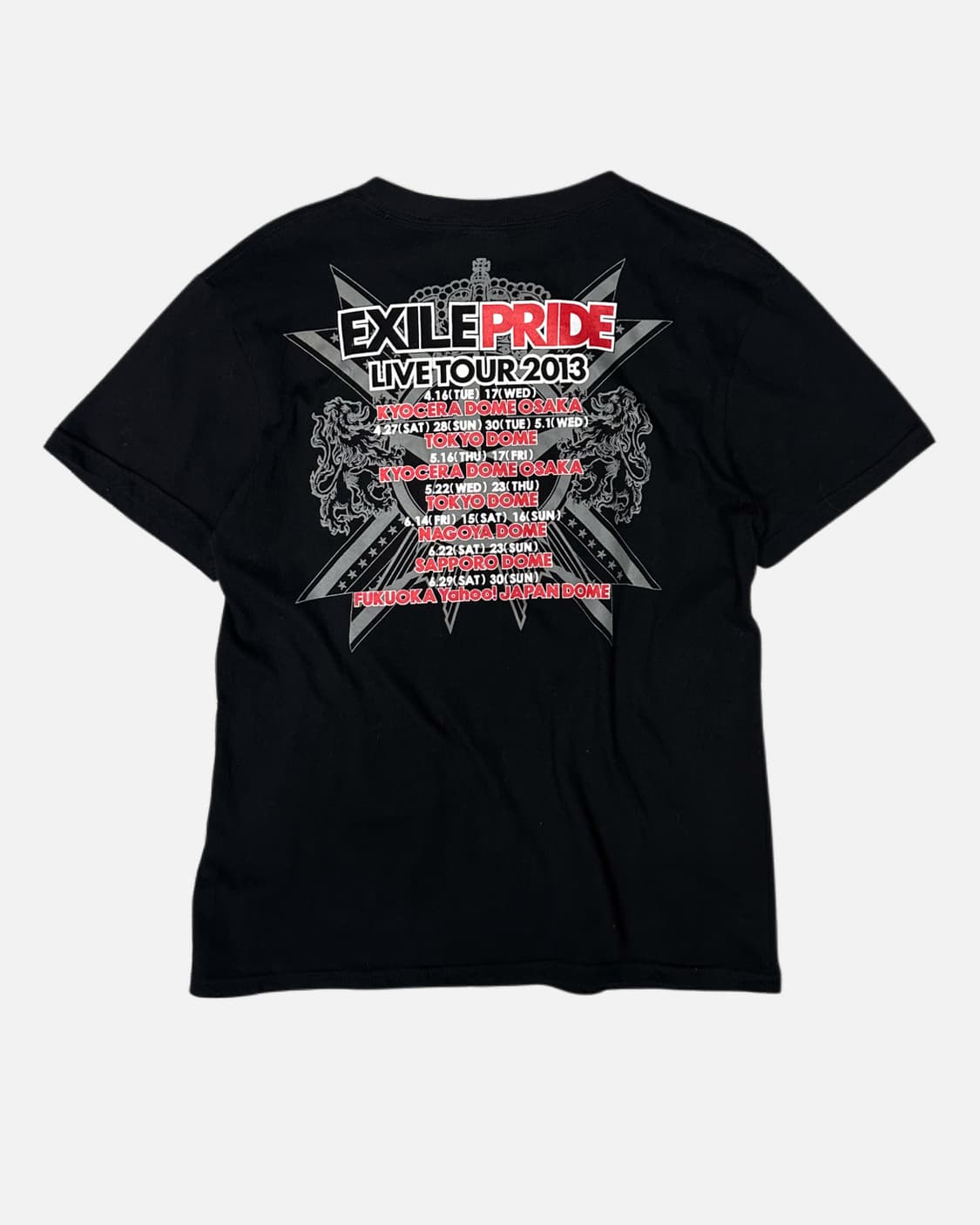 EXILE PRIDE 2013 tour official t-shirt 상품이미지4