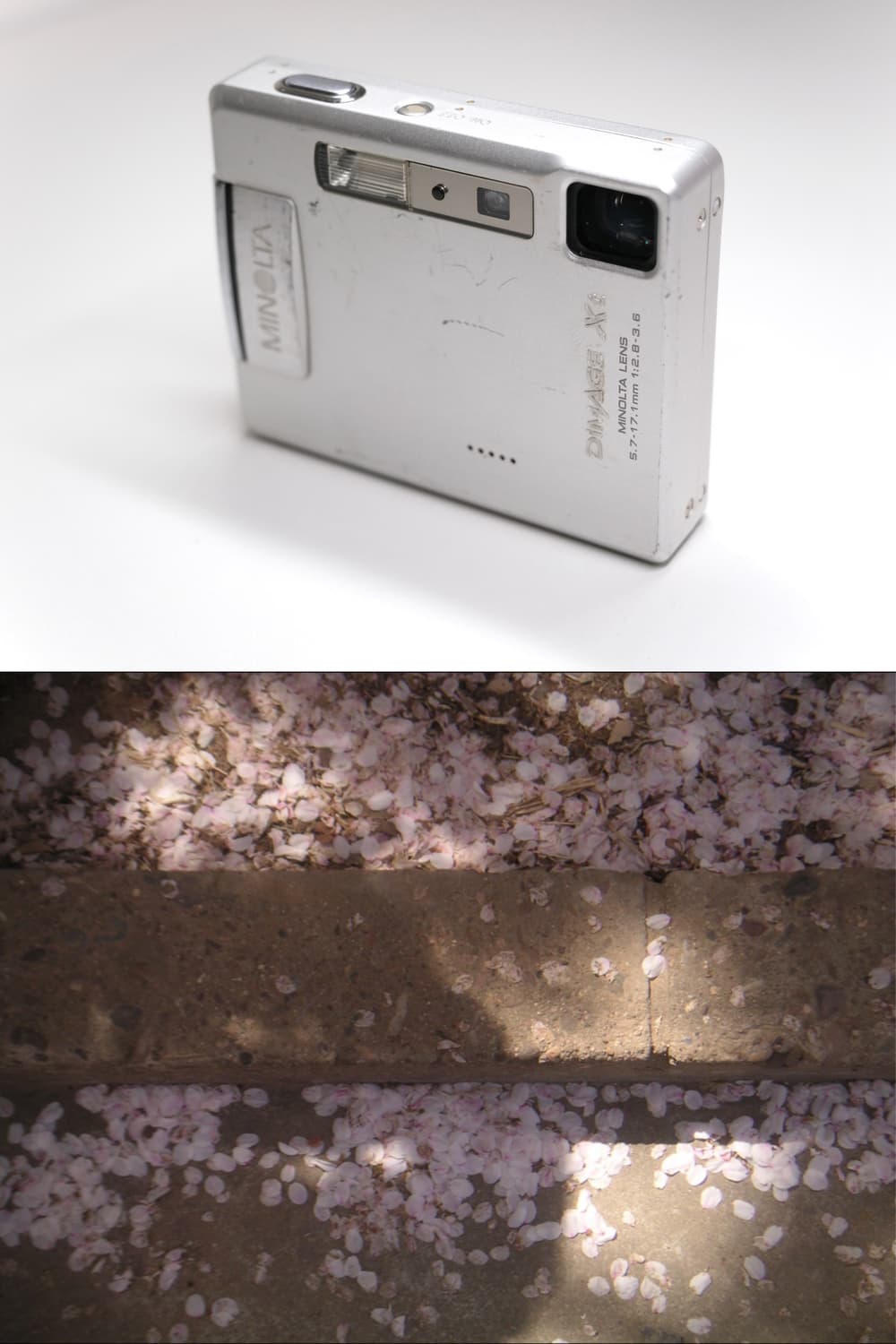 Konica Minolta Dimage Xt 상품이미지4