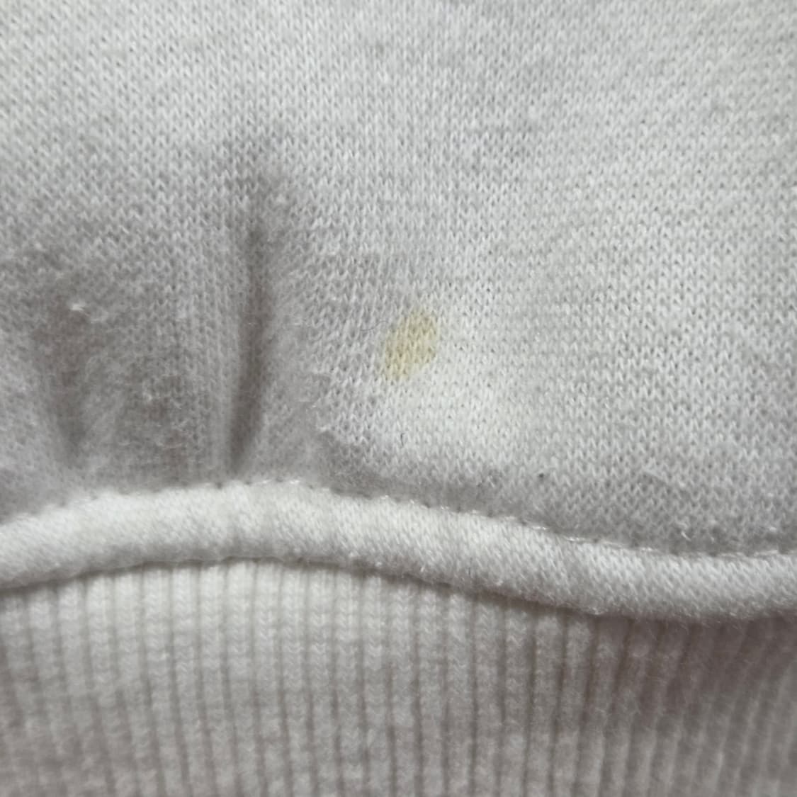 챔피온 프린팅 기모 후드티 M 상품이미지4