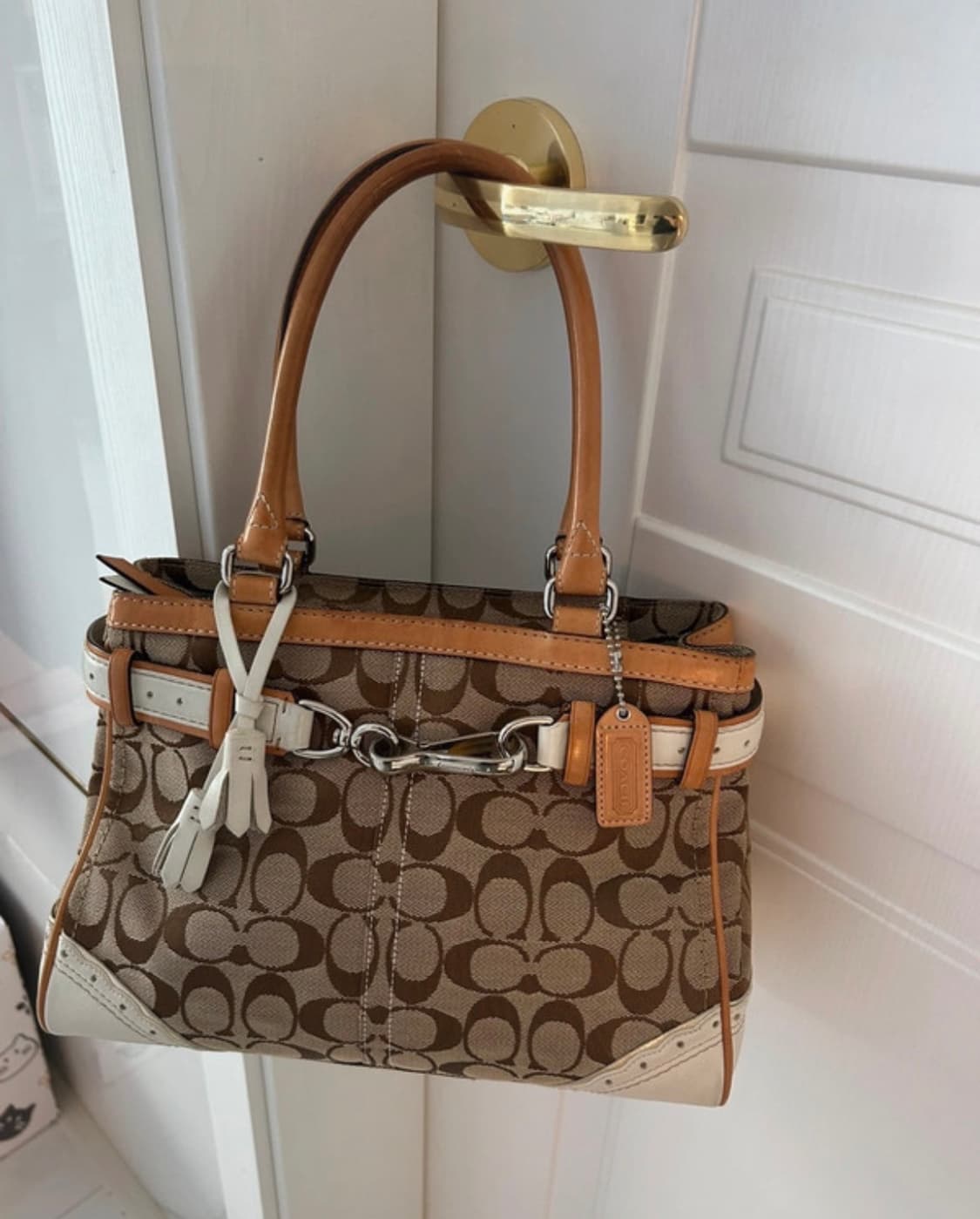 코치 시그니처 캔버스 토트백 브라운 상품이미지1