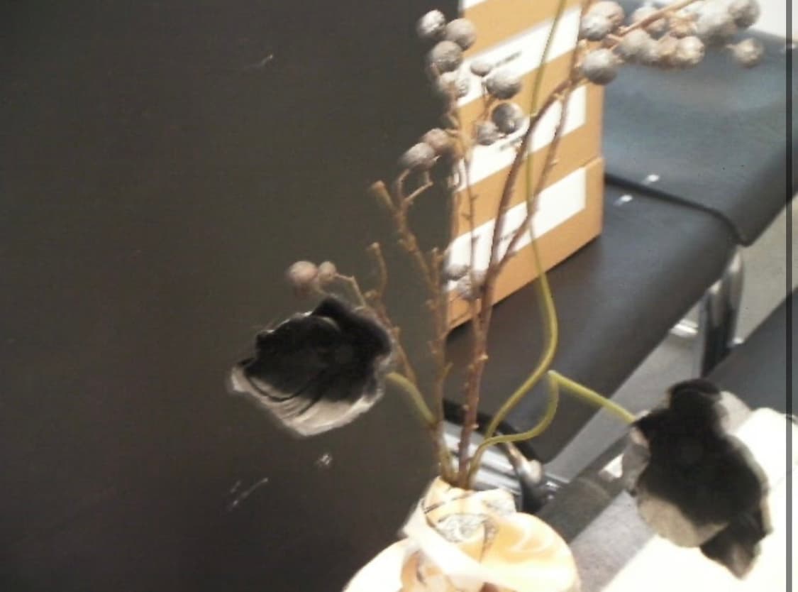 (작례ㅇ) 산요작티 dmx ca9 빈티지 디지털 카메라 캠코더 뉴진스 상품이미지8