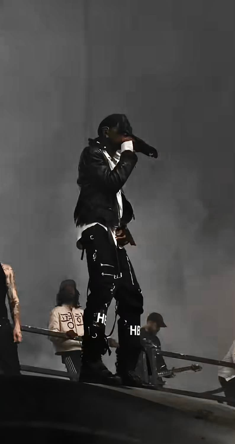 후드바이에어 본디지 팬츠 국문탭 카티착용 상품이미지5