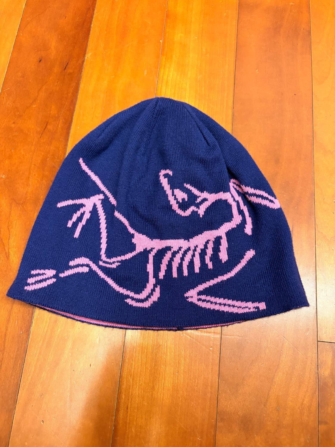 아크테릭스 비니 상품이미지1