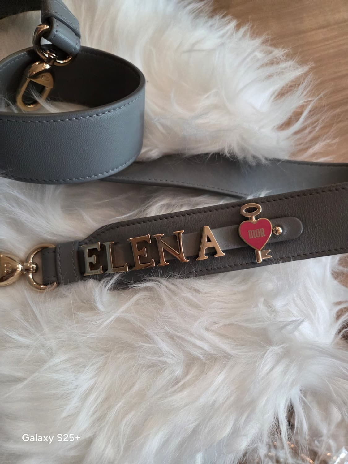 디올 레이디백 최신형 디자이너 엘레나 에디션 상품이미지9