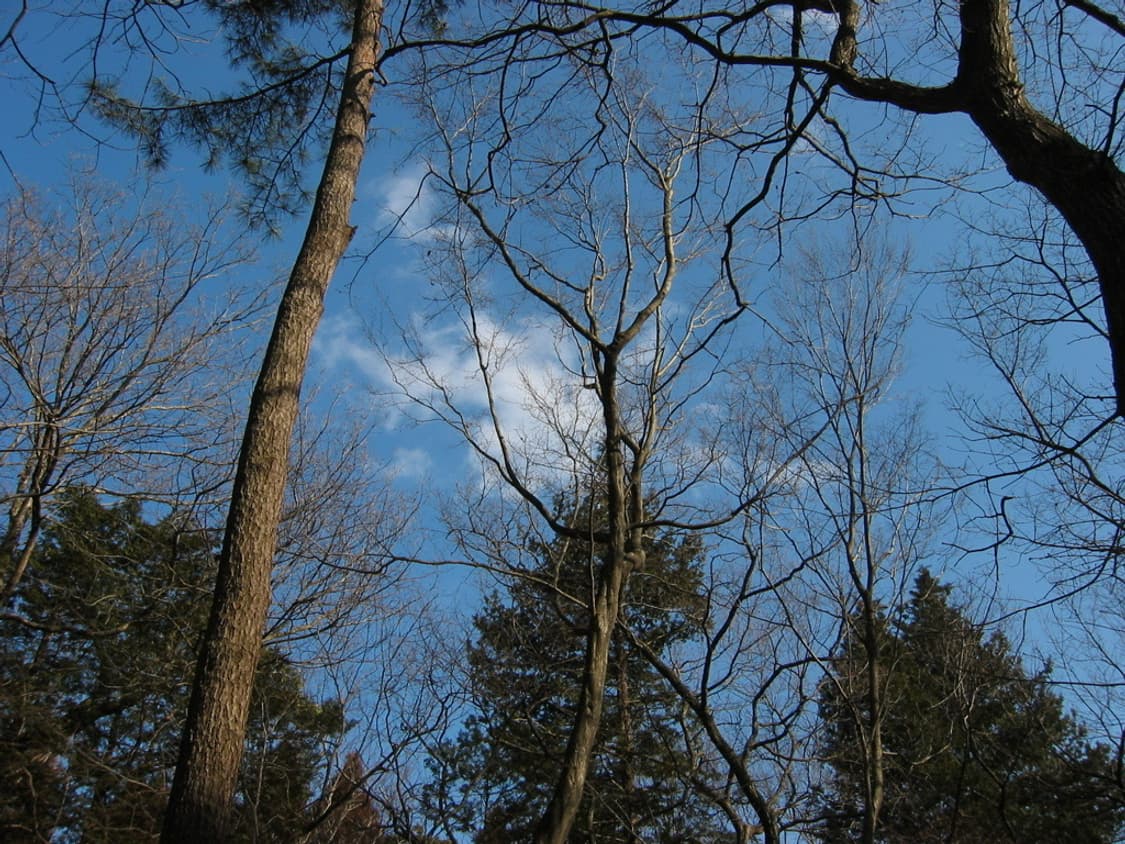 캐논 파워샷 Canon PowerShot S30 실버 상품이미지3