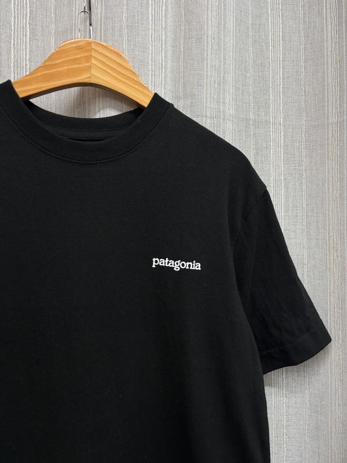 Patagonia 파타고니아 피츠 로이 호라이즌즈 리스폰시빌리 티셔츠 상품이미지4