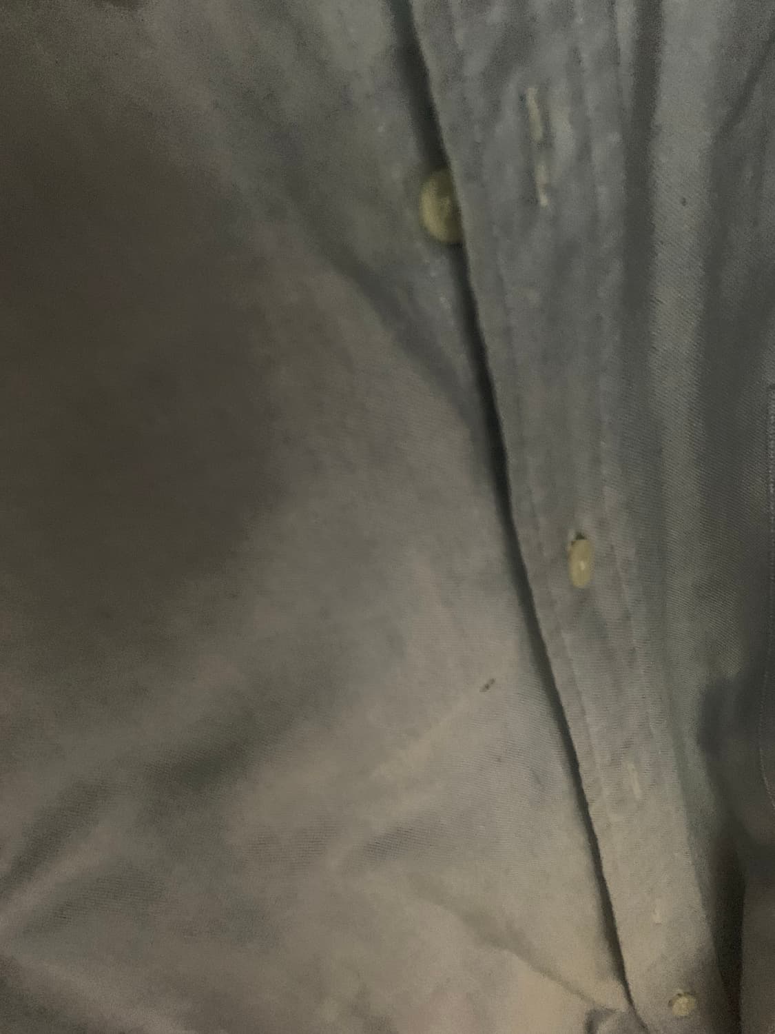 폴로 빅 옥스포드 xl 상품이미지3