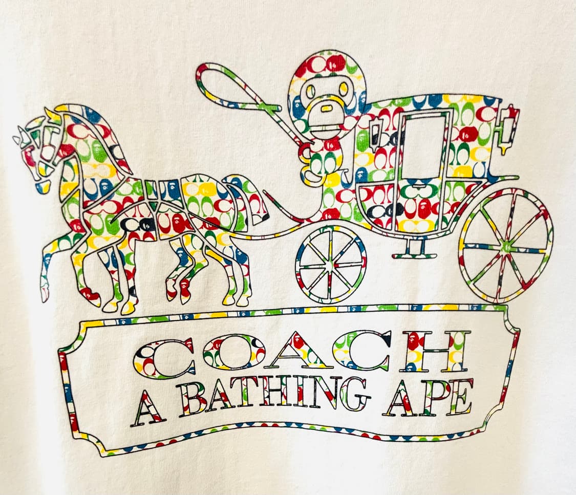20ss BAPE X COACH 멀티 컬러 마일로 티셔츠 L 상품이미지4